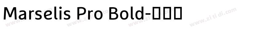 Marselis Pro Bold字体转换